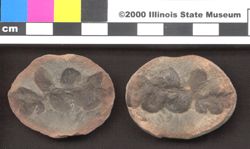 Small image of specimen
