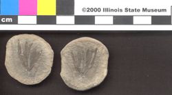 Small image of specimen