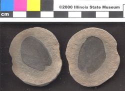 Small image of specimen