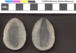 Small image of specimen