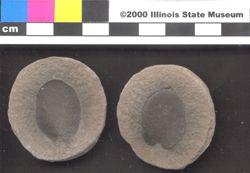 Small image of specimen