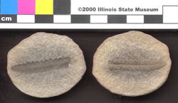 Small image of specimen
