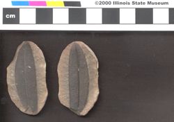 Small image of specimen