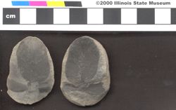 Small image of specimen