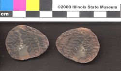 Small image of specimen