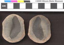 Small image of specimen