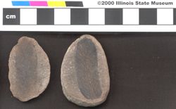 Small image of specimen