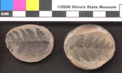 Small image of specimen