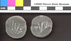 Small image of specimen