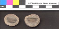 Small image of specimen