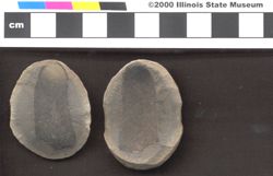 Small image of specimen