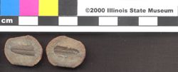 Small image of specimen