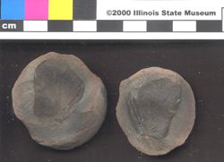 Small image of specimen