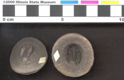 Small image of specimen