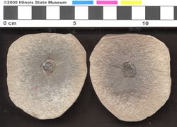 Small image of specimen