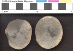 Small image of specimen