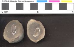 Small image of specimen