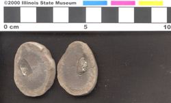 Small image of specimen