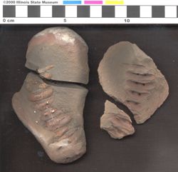 Small image of specimen