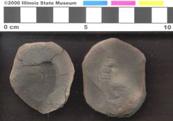 Small image of specimen