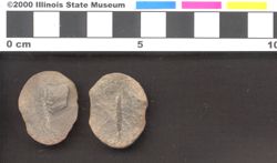 Small image of specimen