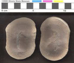 Small image of specimen
