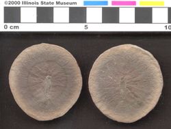 Small image of specimen