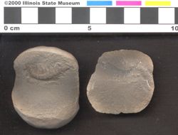 Small image of specimen