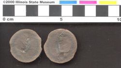 Small image of specimen
