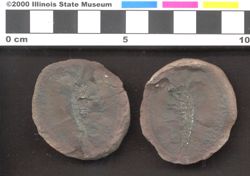 Small image of specimen