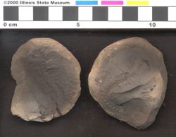 Small image of specimen
