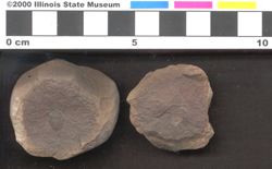 Small image of specimen