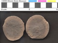 Small image of specimen