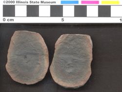 Small image of specimen