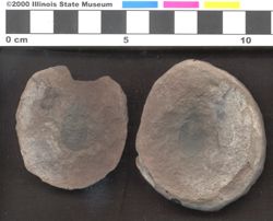Small image of specimen