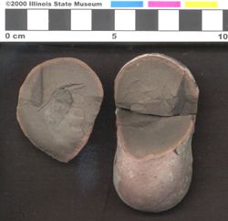Small image of specimen