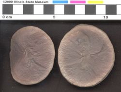 Small image of specimen