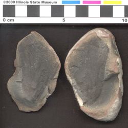 Small image of specimen