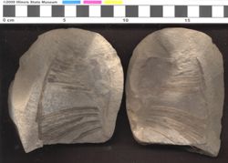 Small image of specimen