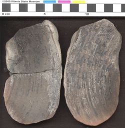 Small image of specimen
