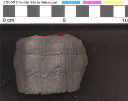 Small image of specimen