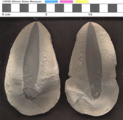 Small image of specimen