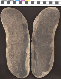 Small image of specimen
