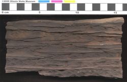 Small image of specimen