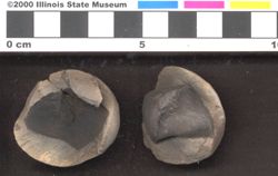 Small image of specimen