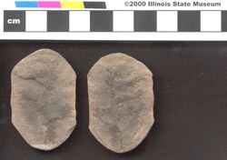 Small image of specimen