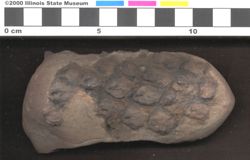 Small image of specimen