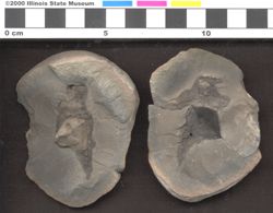 Small image of specimen