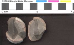 Small image of specimen