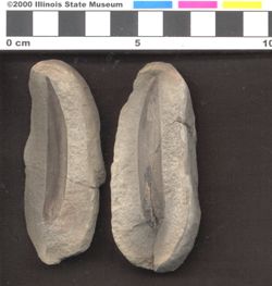 Small image of specimen